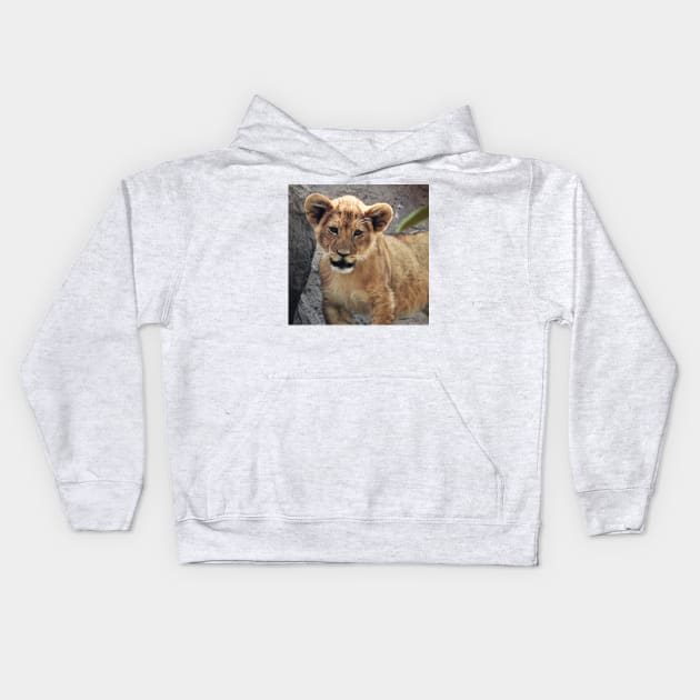 Lion Cub Kids Hoodie by kirstybush